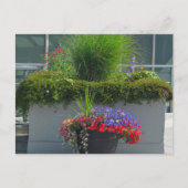 Patio display of 2013 Flowers Briefkaart (Voorkant)