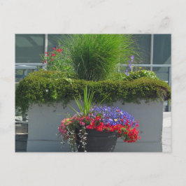 Patio display of 2013 Flowers Briefkaart