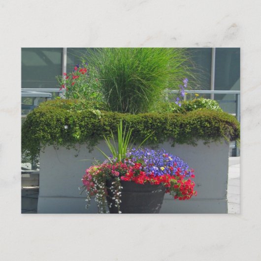 Patio display of 2013 Flowers Briefkaart (Voorkant)