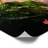 Patios van Córdoba Print, Waarde Poster Papier (Ma (Hoek)