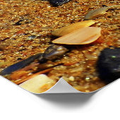 patonga poster (Hoek)