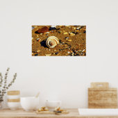 patonga poster (Keuken)