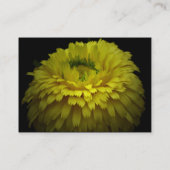 Patricia Schnepf's Personal Visitekaartje-2 Visitekaartje (Achterkant)