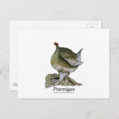 Patriciaanse vogel, Tony Fernandes Briefkaart (Voorkant / Achterkant)