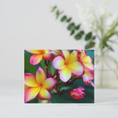 patriciapotluck blooming plumeria briefkaart (Staand voorkant)