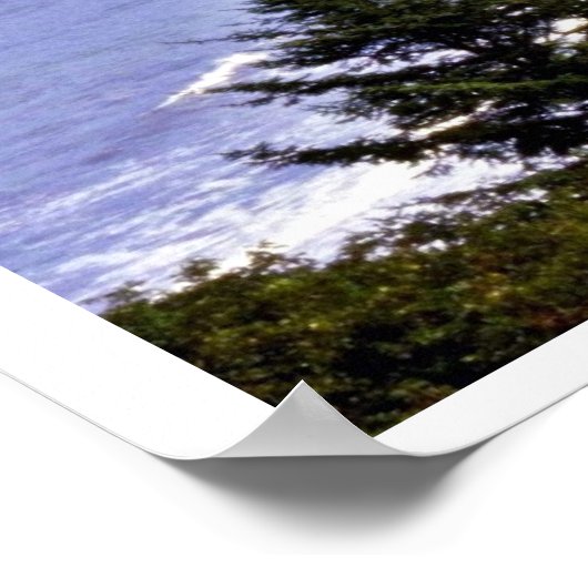 Patrick's Point State Park Poster (Hoek)