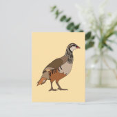 Patrijs Chukar vogel Briefkaart (Staand voorkant)