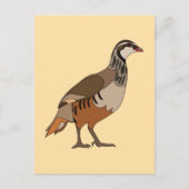 Patrijs Chukar vogel Briefkaart (Voorkant)
