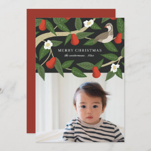 patrijs in een peerboom Kerstfeest met foto's Feestdagenkaart