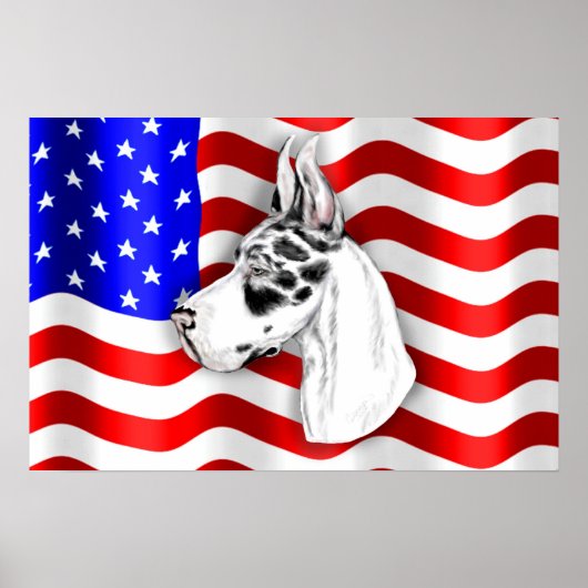 Patriot Dane Harle Poster (Voorkant)