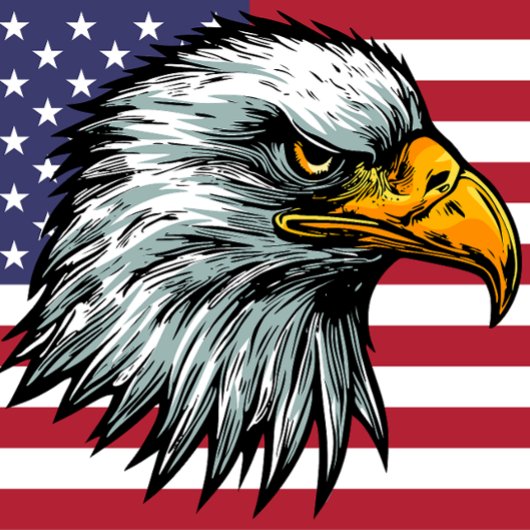 Patriot kale adelaar t-shirt