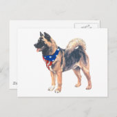 Patriotic Akita Briefkaart (Voorkant / Achterkant)