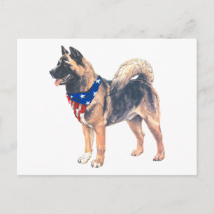 Patriotic Akita Briefkaart