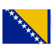 Patriotic Bosnië Herzegovina vlag (Voorkant Horizontaal)