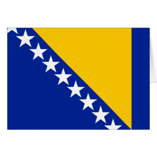 Patriotic Bosnië Herzegovina vlag
