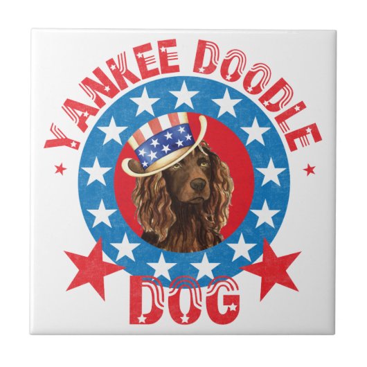 Patriotic Boykin Spaniel Tegeltje (Voorkant)