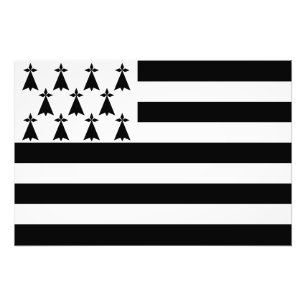 Patriotic Brittany Flag Foto Afdruk
