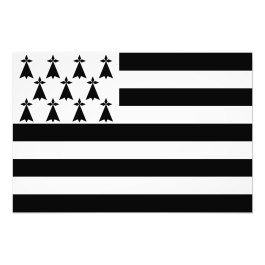 Patriotic Brittany Flag Foto Afdruk (Voorkant)