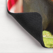 Patriotic Bull Elk Muismat (Hoek)