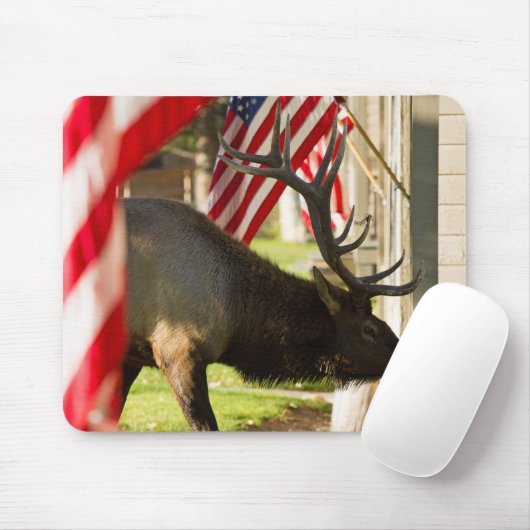 Patriotic Bull Elk Muismat (Met muis)