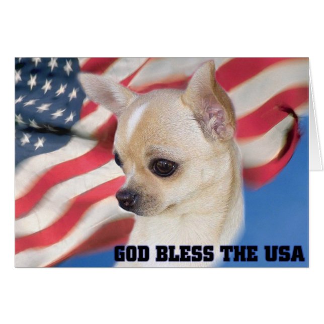 Patriotic Chihuahua-kaart (Voorkant Horizontaal)