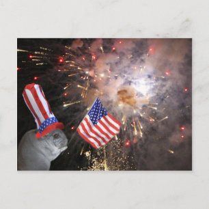 Patriotic Chinchilla Briefkaart