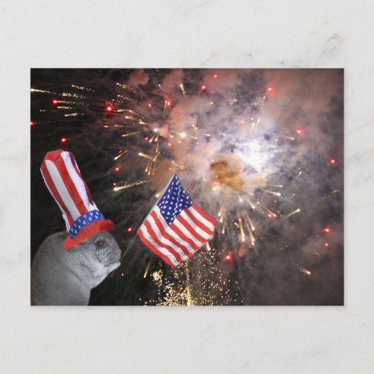 Patriotic Chinchilla Briefkaart (Voorkant)