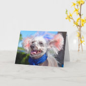 Patriotic Chinese Crested hairless dog Kaart (Gele Bloem)