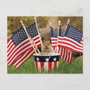 Patriotic Chipmunk Briefkaart