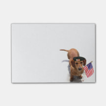 Patriotic Dachshund schrijft