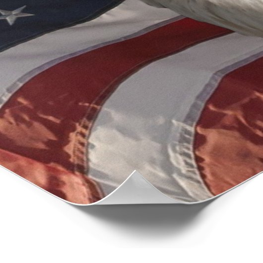 Patriotic Eagle Canvas Print (Hoek)