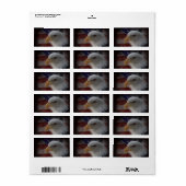 Patriotic Eagle & Flag Etiket (Full Sheet)