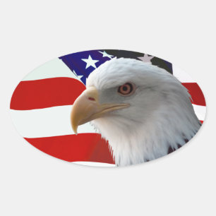 Patriotic Eagle & Flag Ovale Sticker