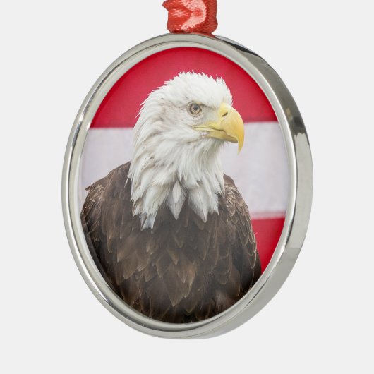 Patriotic Eagle Metalen Ornament (Links)