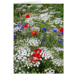 Patriotic Flower Garden Card
