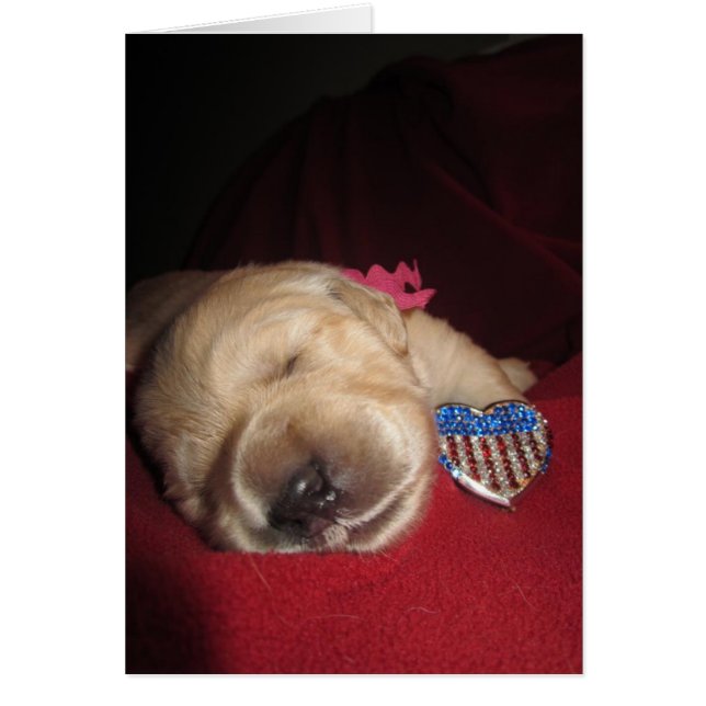 Patriotic Grace (Voorkant)