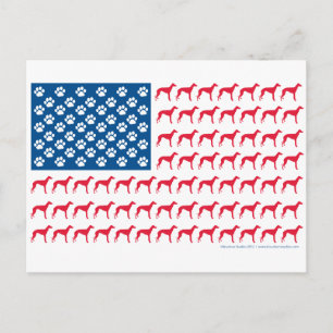 Patriotic Greyhound Dog Briefkaart