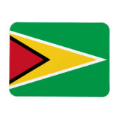Patriotic Guyana Flag Magneet (Horizontaal)