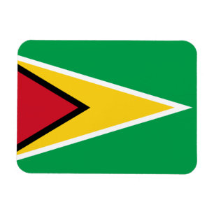 Patriotic Guyana Flag Magneet