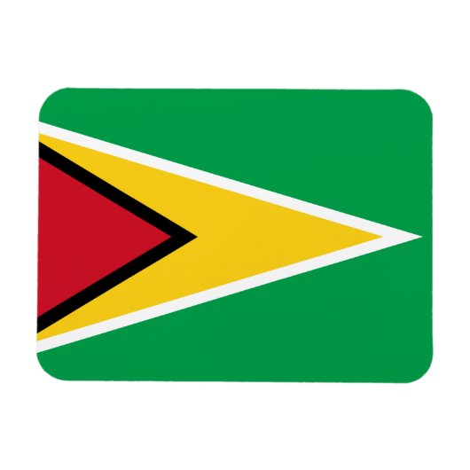 Patriotic Guyana Flag Magneet (Horizontaal)