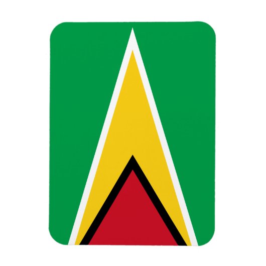 Patriotic Guyana Flag Magneet (Verticaal)