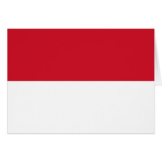 Patriotic Monaco Flag (Voorkant Horizontaal)