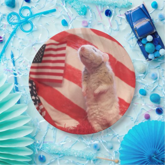 Patriotic Murray Papieren Bordje (Feest)