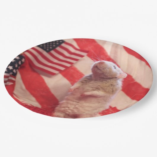 Patriotic Murray Papieren Bordje (Gekanteld)