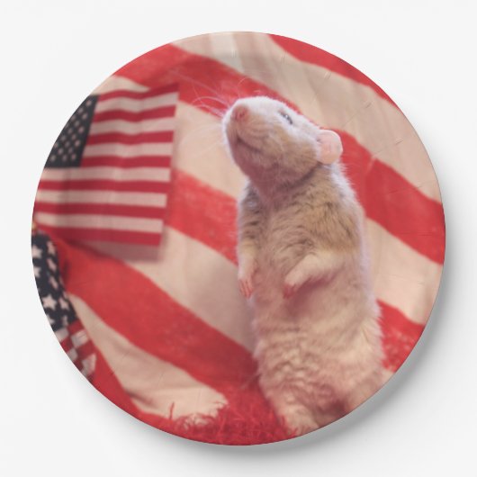 Patriotic Murray Papieren Bordje (Voorkant)