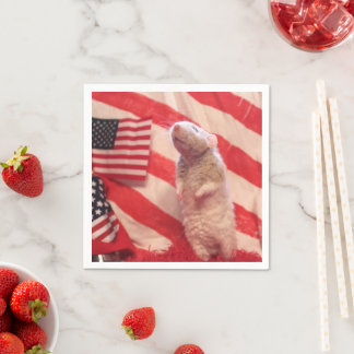 Patriotic Murray Servet