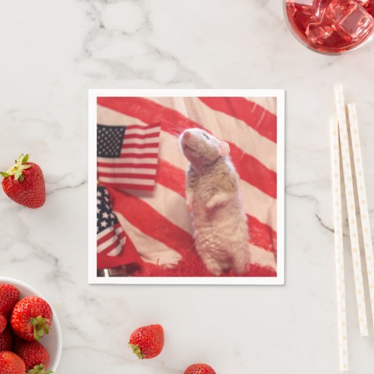 Patriotic Murray Servet (Insitu)