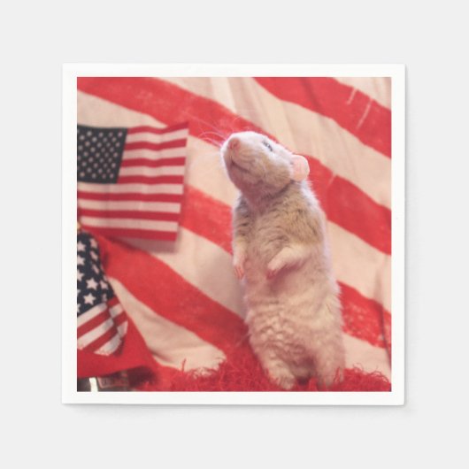 Patriotic Murray Servet (Voorkant)