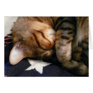 Patriotic Nap