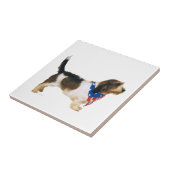 Patriotic Petit Basset Griffon Vendeen Tegeltje (Zijkant)